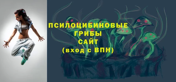 стафф Алексин