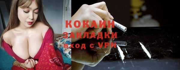 стафф Алексин