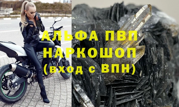 стафф Алексин