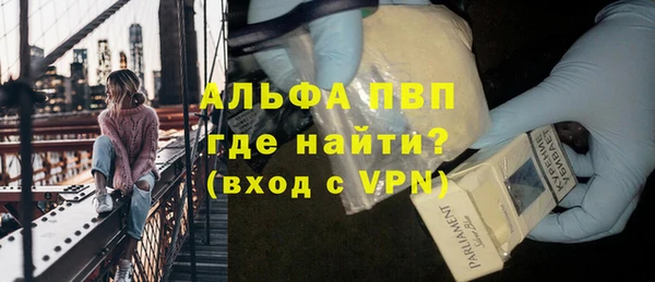 стафф Алексин