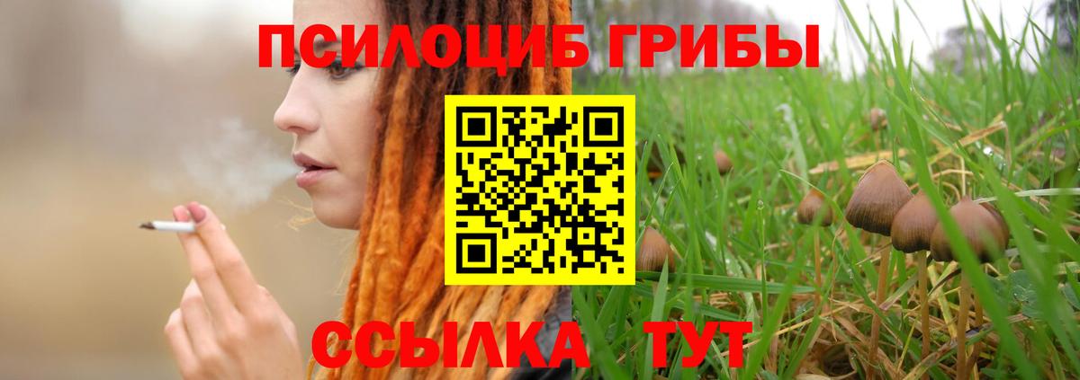Галлюциногенные грибы ЛСД Котлас